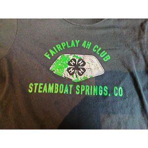 Youth Large T Shirt Gray Fairplay 4H club Steamboat Springs Colorado